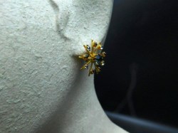 AUSTRIA EARS PRONG GOOD A